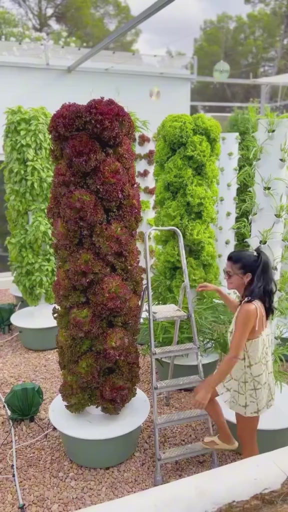 Hydroponic Tower Growing System for Home – Indoor Vertical Garden (28 Plants) video